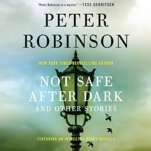 Couverture_Not Safe After Dark