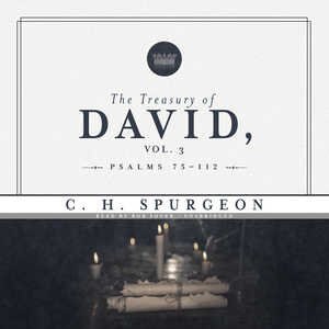 Front cover_The Treasury of David, Vol. 3