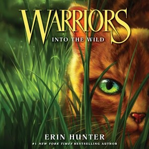 Front cover_Warriors #1: Into The Wild