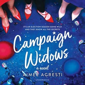 Campaign Widows: A Novel