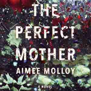 The Perfect Mother: A Novel by Aimee Molloy