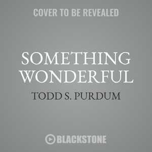 Front cover_Something Wonderful
