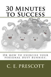 Front cover_30 Minutes to Success