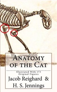 Anatomy of the Cat: [Illustrated With 173 Original Figures]