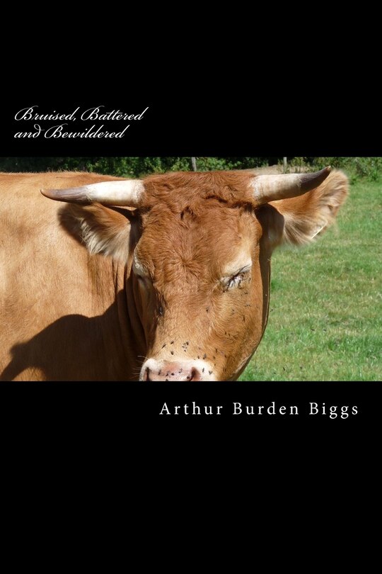 Bruised, Battered and Bewildered: A true story of an Alcoholics life