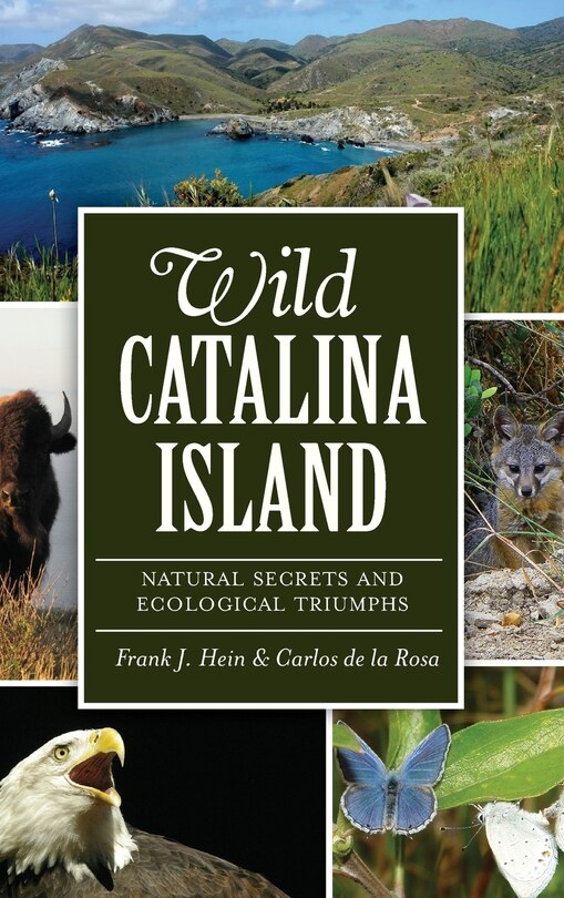 Front cover_Wild Catalina Island