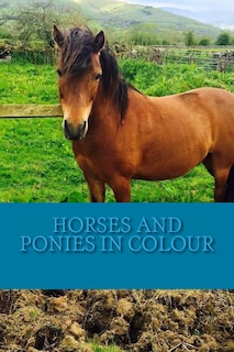 Horses And Ponies In Colour: Full Colour Photographs Of Various Breeds Of Horse And Pony