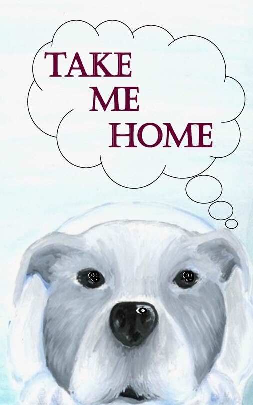 Couverture_Take Me Home