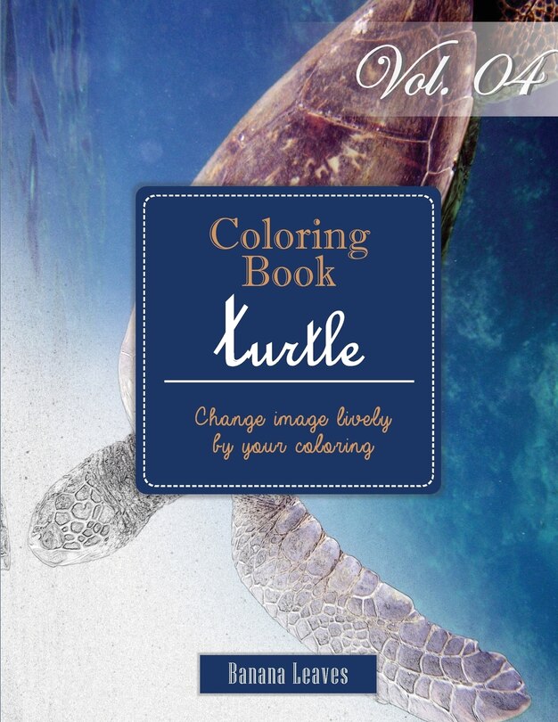 Couverture_Turtle Ocean Creature