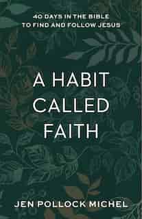 A Habit Called Faith by Pollock Michel, Jen