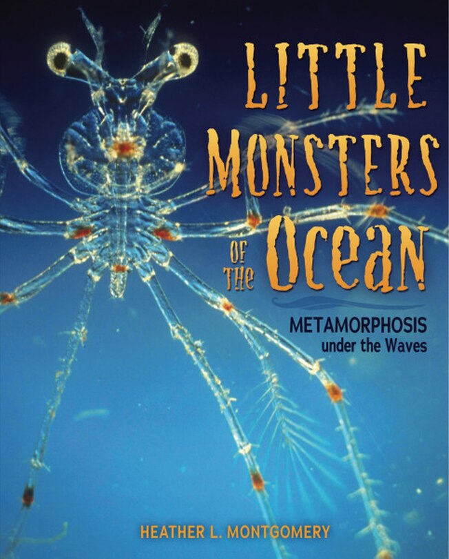 Couverture_Little Monsters of the Ocean