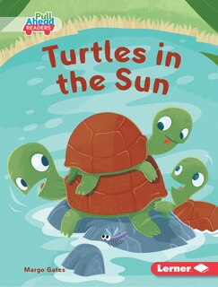 Couverture_Turtles in the Sun