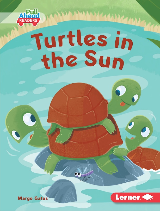 Couverture_Turtles in the Sun