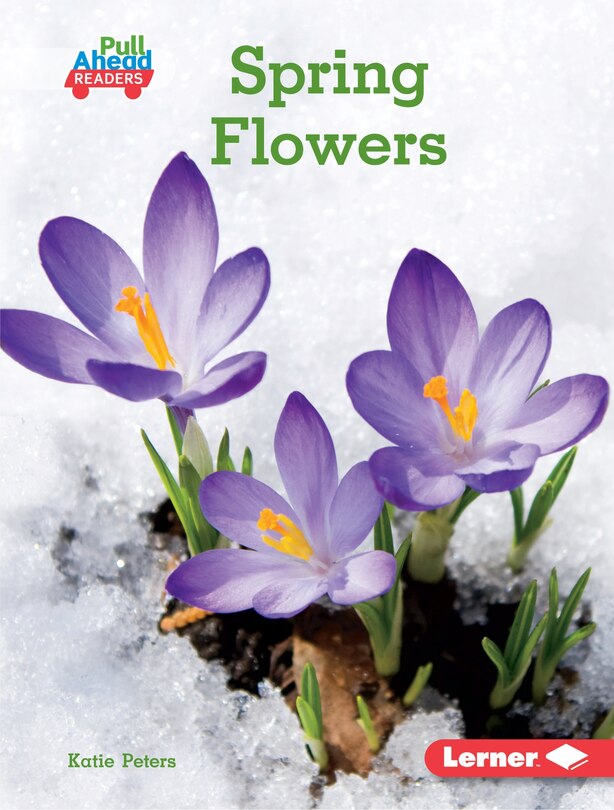 Front cover_Spring Flowers