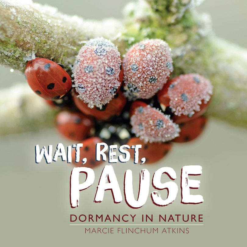 Front cover_Wait, Rest, Pause