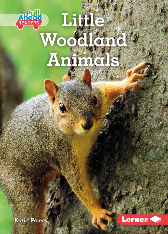 Couverture_Little Woodland Animals