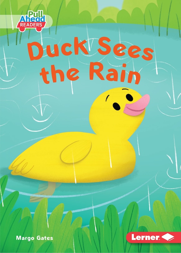 Front cover_Duck Sees the Rain