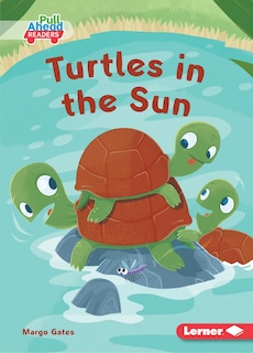 Couverture_Turtles in the Sun