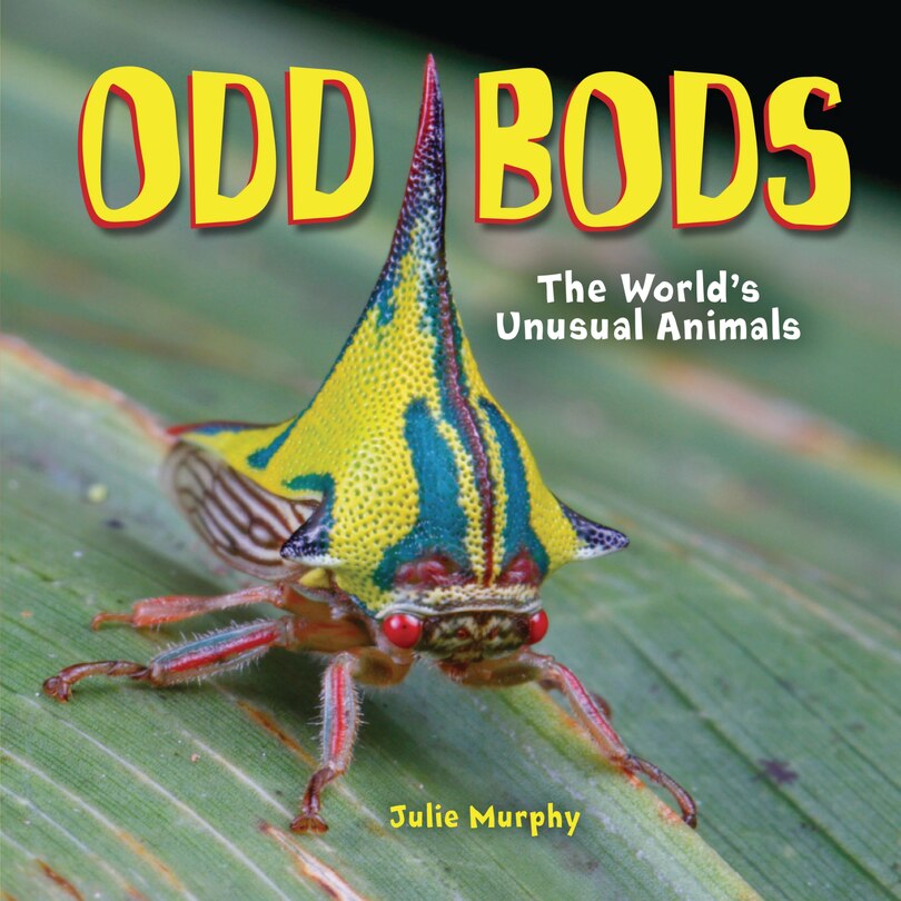 Couverture_Odd Bods
