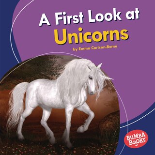 Front cover_A First Look at Unicorns