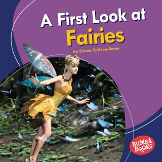 Couverture_A First Look at Fairies