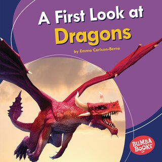 Front cover_A First Look at Dragons