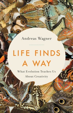 Life Finds A Way: What Evolution Teaches Us About Creativity