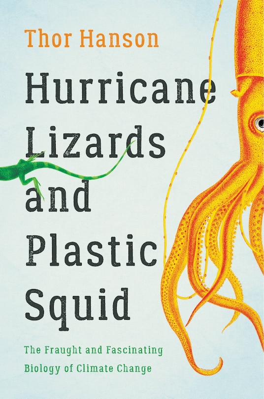 Front cover_Hurricane Lizards And Plastic Squid