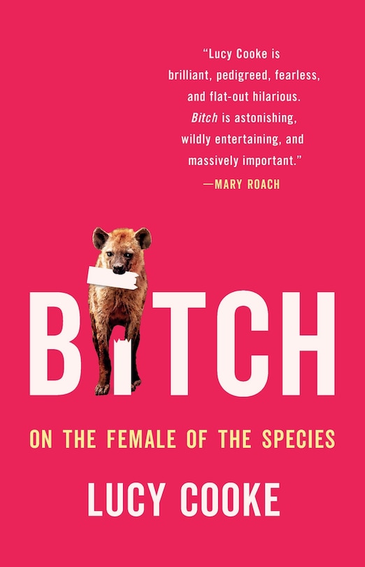 Couverture_Bitch
