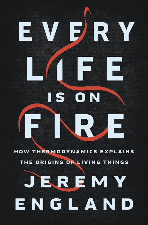Front cover_Every Life Is On Fire