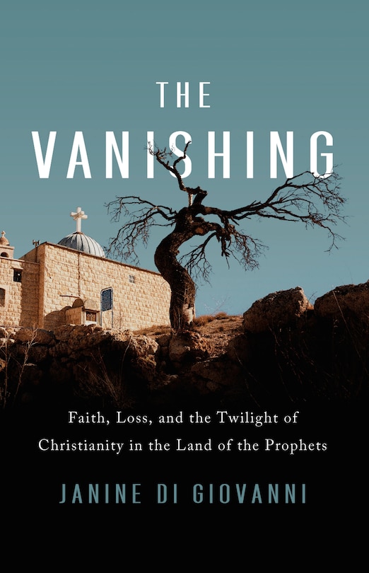 Front cover_The Vanishing