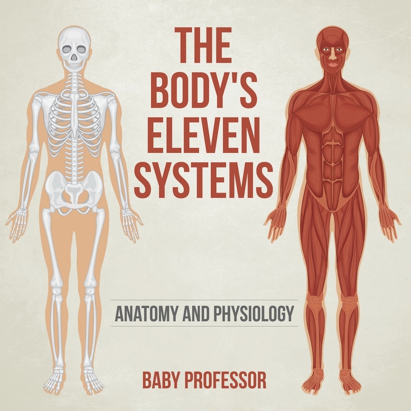 Front cover_The Body's Eleven Systems Anatomy and Physiology