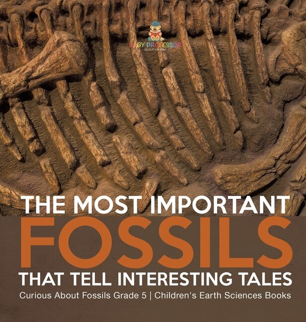 The Most Important Fossils That Tell Interesting Tales Curious About Fossils Grade 5 Children's Earth Sciences Books