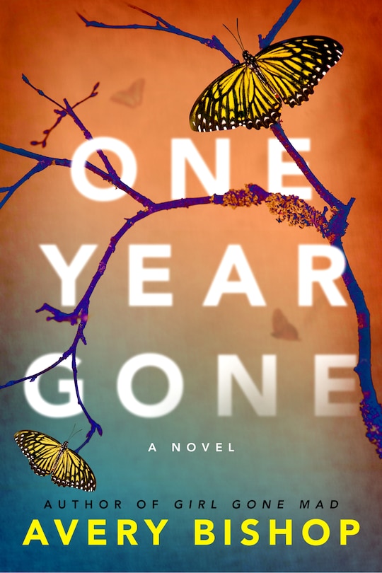 Couverture_One Year Gone