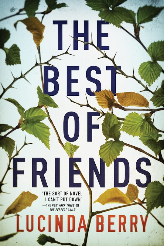 Front cover_The Best Of Friends