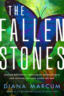 The Fallen Stones: Chasing Butterflies, Discovering Mayan Secrets, And Looking For Hope Along The Way image number 0