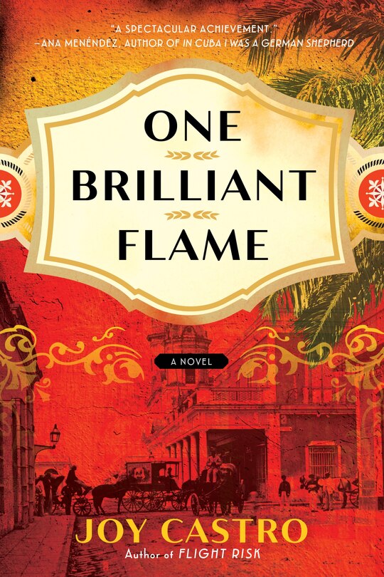 Front cover_One Brilliant Flame