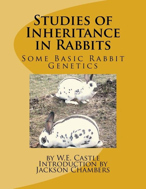 Couverture_Studies of Inheritance in Rabbits