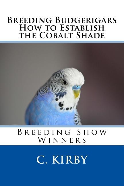 Breeding Budgerigars How to Establish the Cobalt Shade