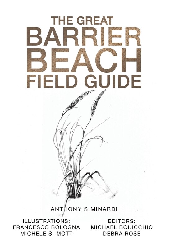 Front cover_The Great Barrier Beach Field Guide