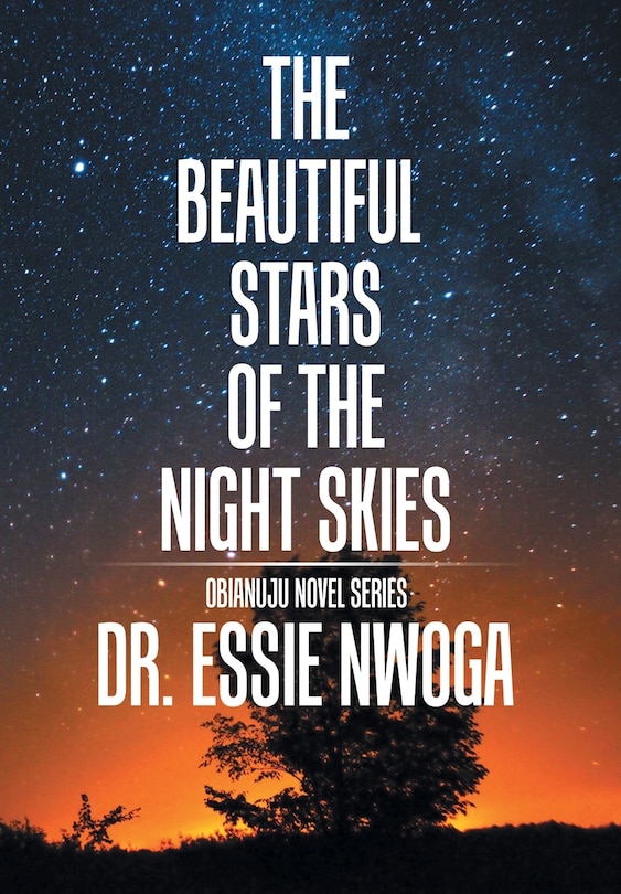 Couverture_The Beautiful Stars of the Night Skies