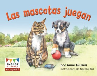 Las mascotas juegan