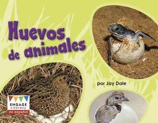 Huevos de animales