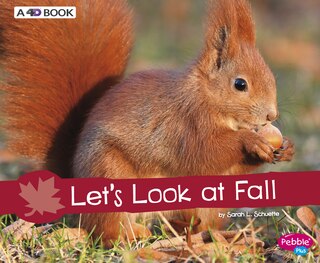 Front cover_Let's Look at Fall
