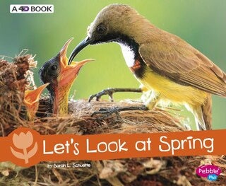 Couverture_Let's Look at Spring