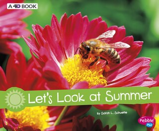 Front cover_Let's Look at Summer