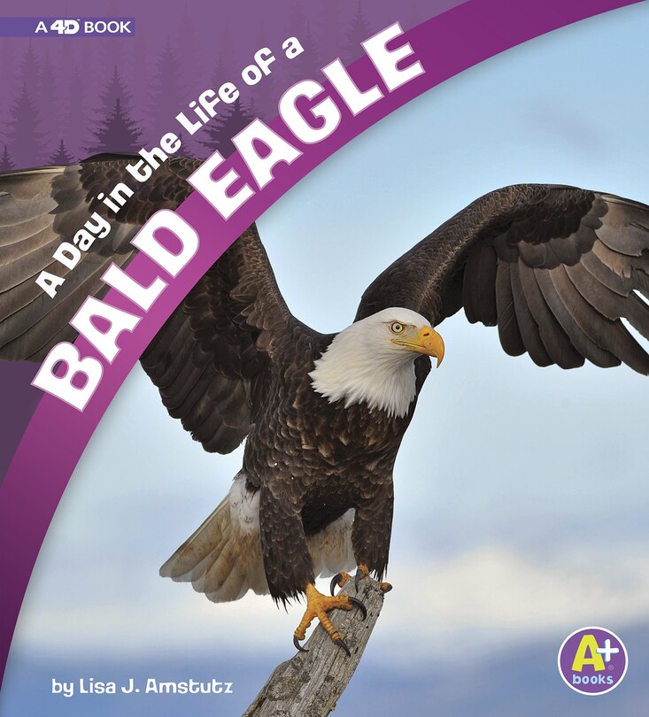 Couverture_A Day in the Life of a Bald Eagle