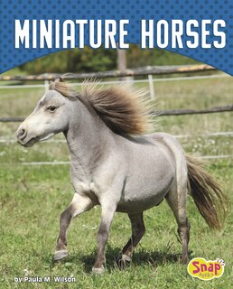 Front cover_Miniature Horses