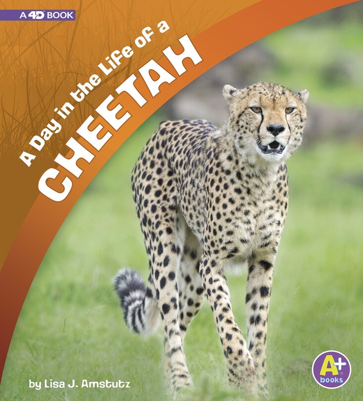 Front cover_A Day in the Life of a Cheetah