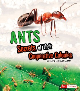 Couverture_Ants